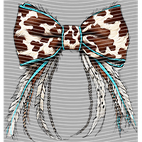 Country music-CU 1071